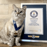 Screenshot 2025-07-06 at 16.43.07