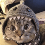 Screenshot 2025-07-06 at 17.12.17